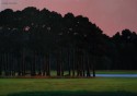 Landscape II